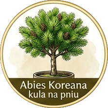 Abies Koreana kula na pniu